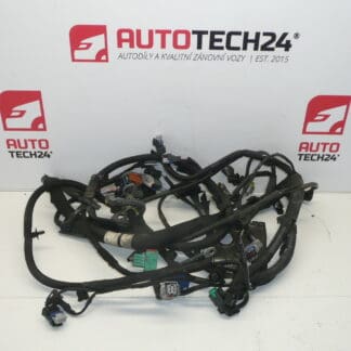 Cablaj motor Citroën C3 II 1.4i KFT 9674808180 9675247080