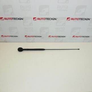 Antena completa Citroën C3 Pluriel 6561R7 656197