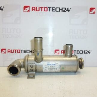 Racitor pe gaz 1.6 HDI Citroën Peugeot 9646762280 161863