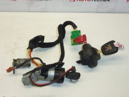 Set blocare, 2 chei Peugeot 307 4162AS