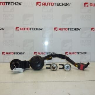 Set broaste 2 chei Citroën Xsara Picasso 4162W5 4162S0