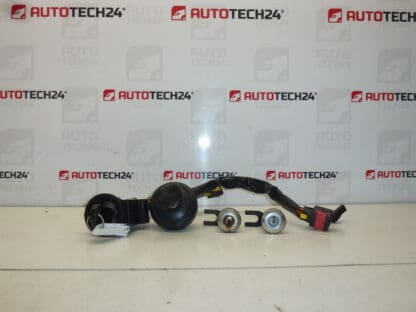 Set broaste 2 chei Citroën Xsara Picasso 4162W5 4162S0