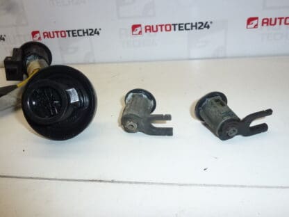 Set broaste 2 chei Citroën Xsara Picasso 4162W5 4162S0