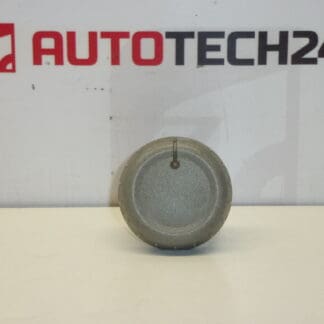 Buton comanda incalzire Citroën C1 Peugeot 107 6451SK