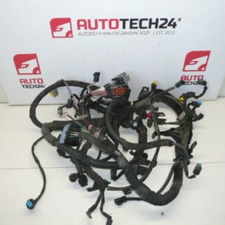 Cablaj motor Peugeot 308 1.6 HDI 9685743580