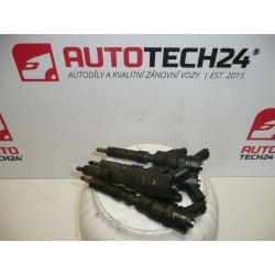 Set injectie Bosch 2.0HDI 0445110062