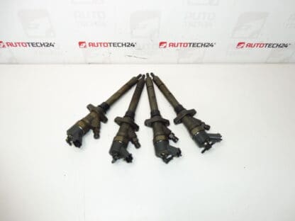 Set de injecție Bosch 2.0 și 2.2 HDI 0445110036 kilometraj 182000 km