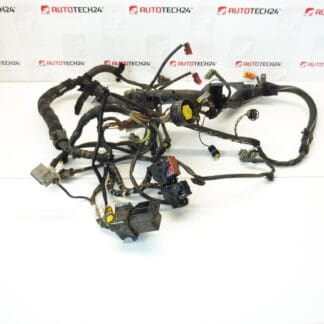 Cablaj motor Citroën Peugeot 2.2 HDI 9648542580 6558PA