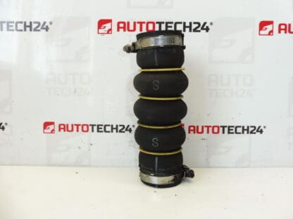 Furtun 1.6 HDI Citroën Peugeot 9686000180 0382NP